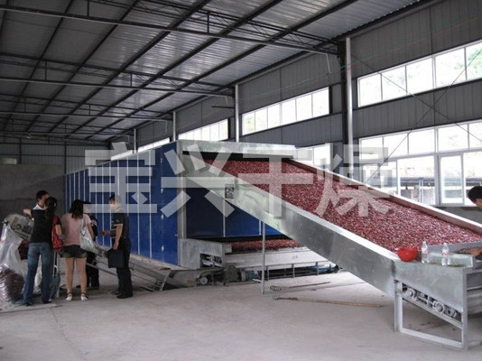 DWC系列脱水蔬菜带式干燥机