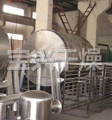 滚筒刮板干燥机